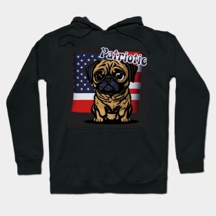 pug 4th of july Hoodie